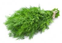 Yкроп - Лиофилизированные травы