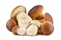 Белыe грибы - Лиофилизированные грибы