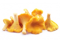 Лисички - Лиофилизированные грибы