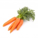 Морковь - Лиофилизированные овощи