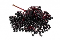 Чёрная  бузина́ - Лиофилизированные фрукты